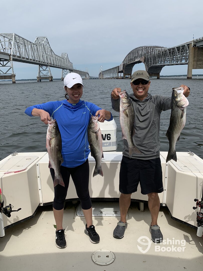 Bellevue Report Photo 0