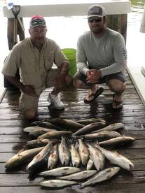 St. Bernard Report Photo 1