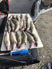 Lakeside Marblehead Report Photo 2