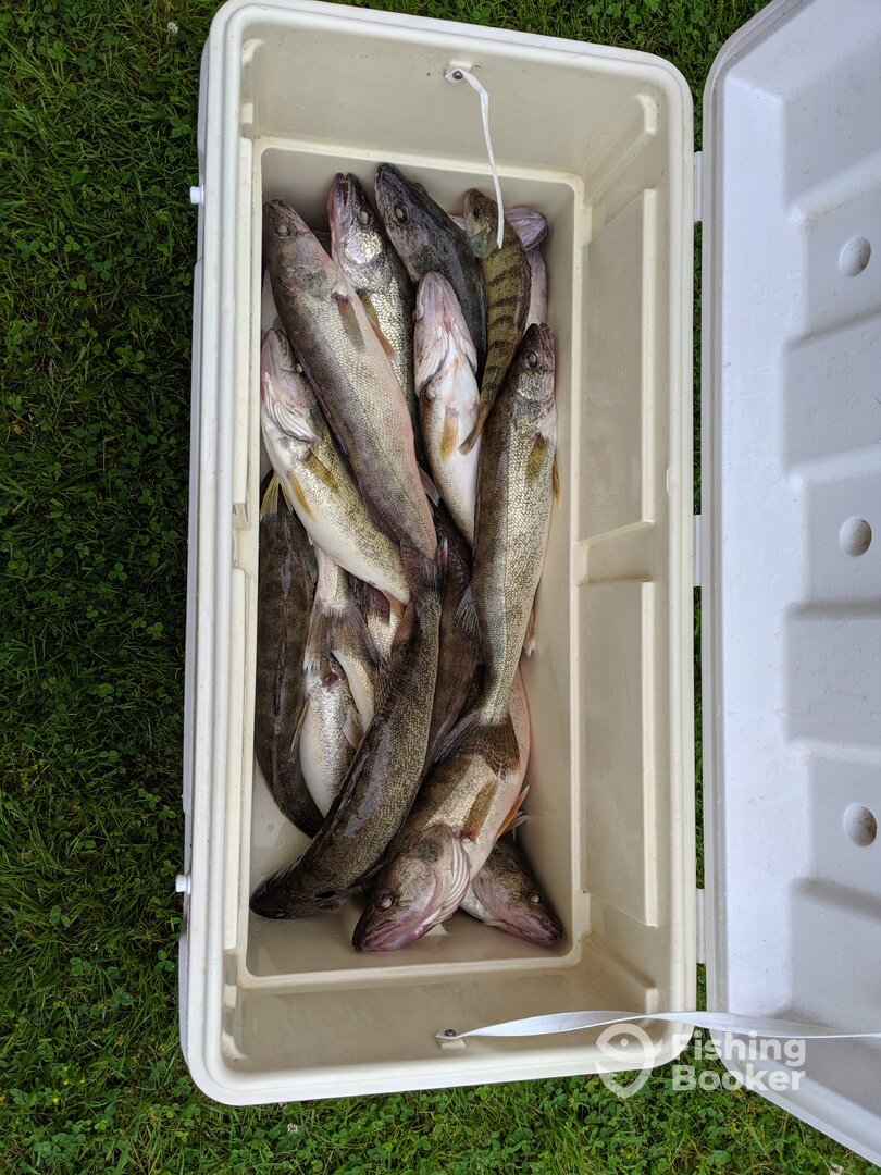 Geneva Report Photo 0