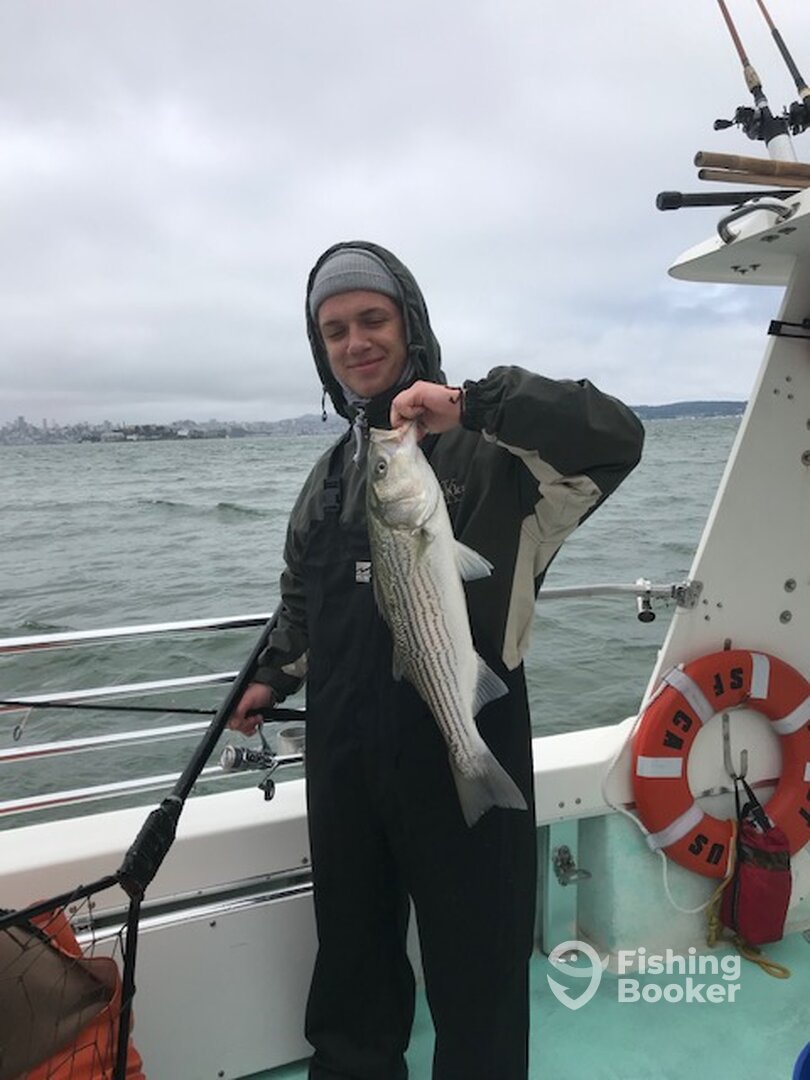 San Francisco Report Photo 0