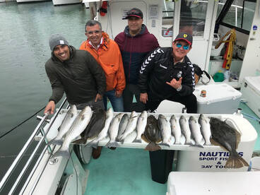 San Francisco Report Photo 2