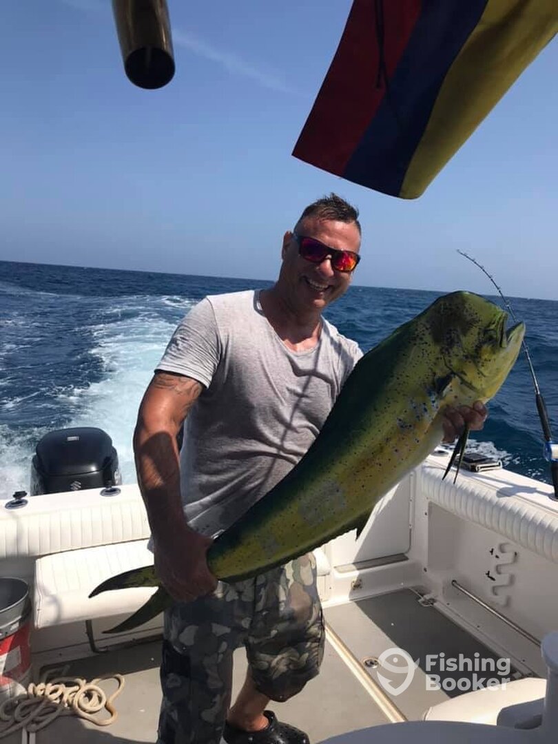 Cartagena Report Photo 0