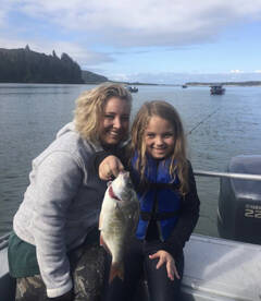 Coos Bay Report Photo 1