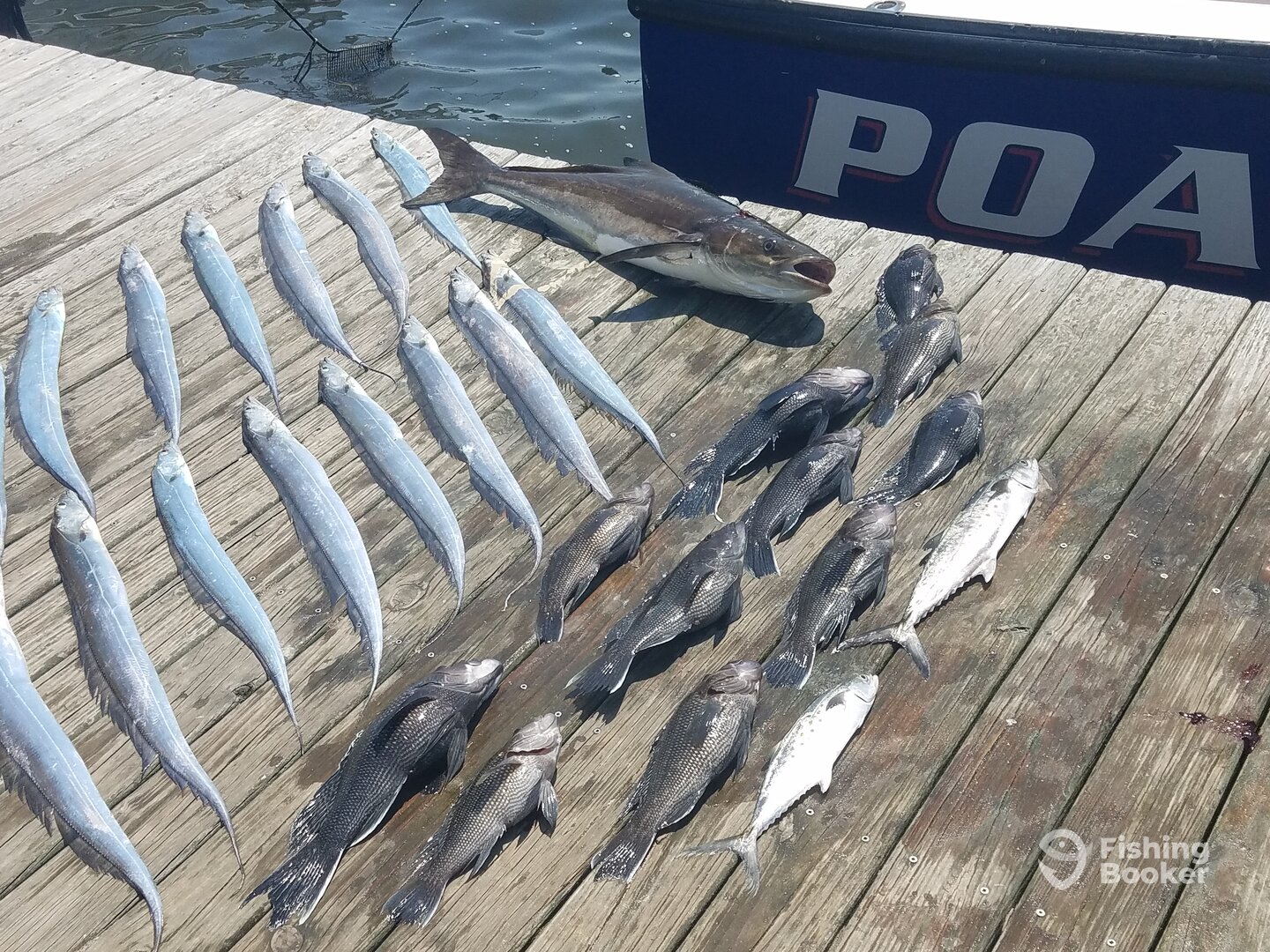 Nags Head Report Photo 0