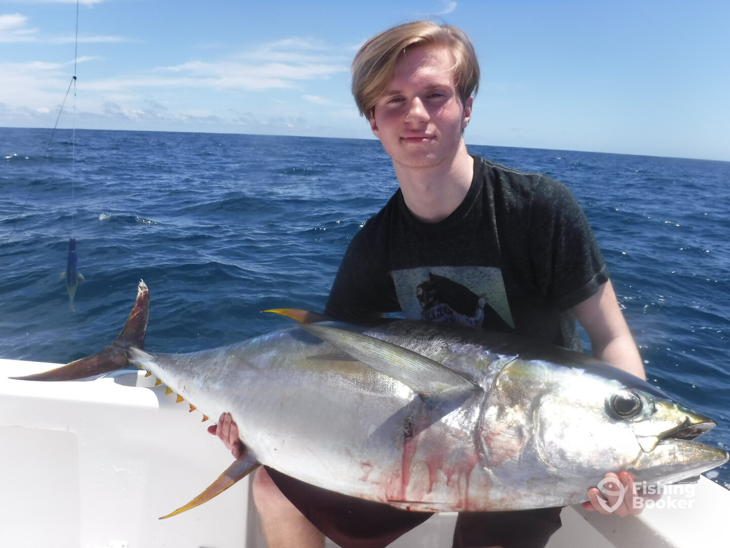 Quepos Report Photo 0