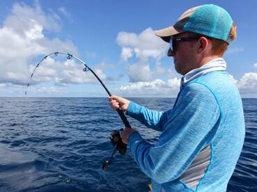 Quepos Report Photo 2