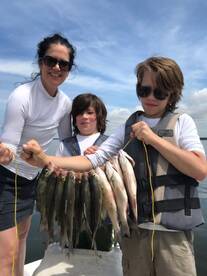 Grapevine Report Photo 2