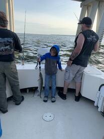 Bellevue Report Photo 1