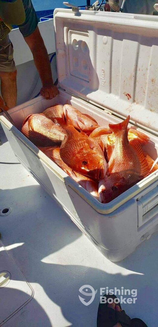 Orange Beach Report Photo 0