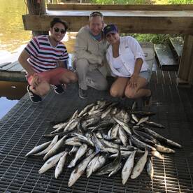 Speckled Trout Tuesday in Shell Beach