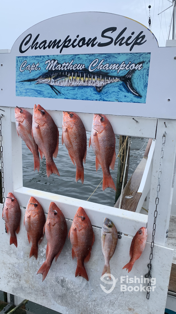 Destin Report Photo 0