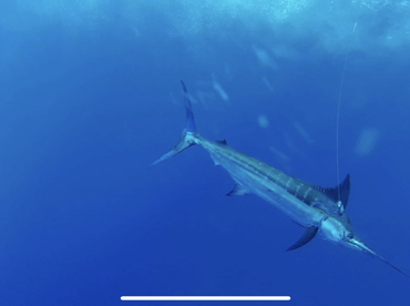 Port Vila Report Photo 2