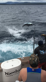 Port Vila Report Photo 1