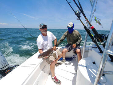 GREAT DAY of cobia fishing