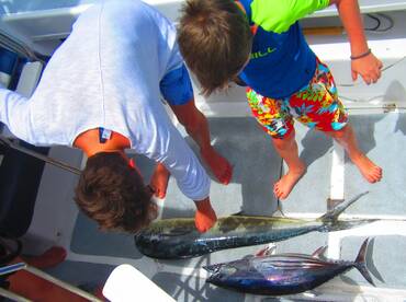 Le Morne Report Photo 2