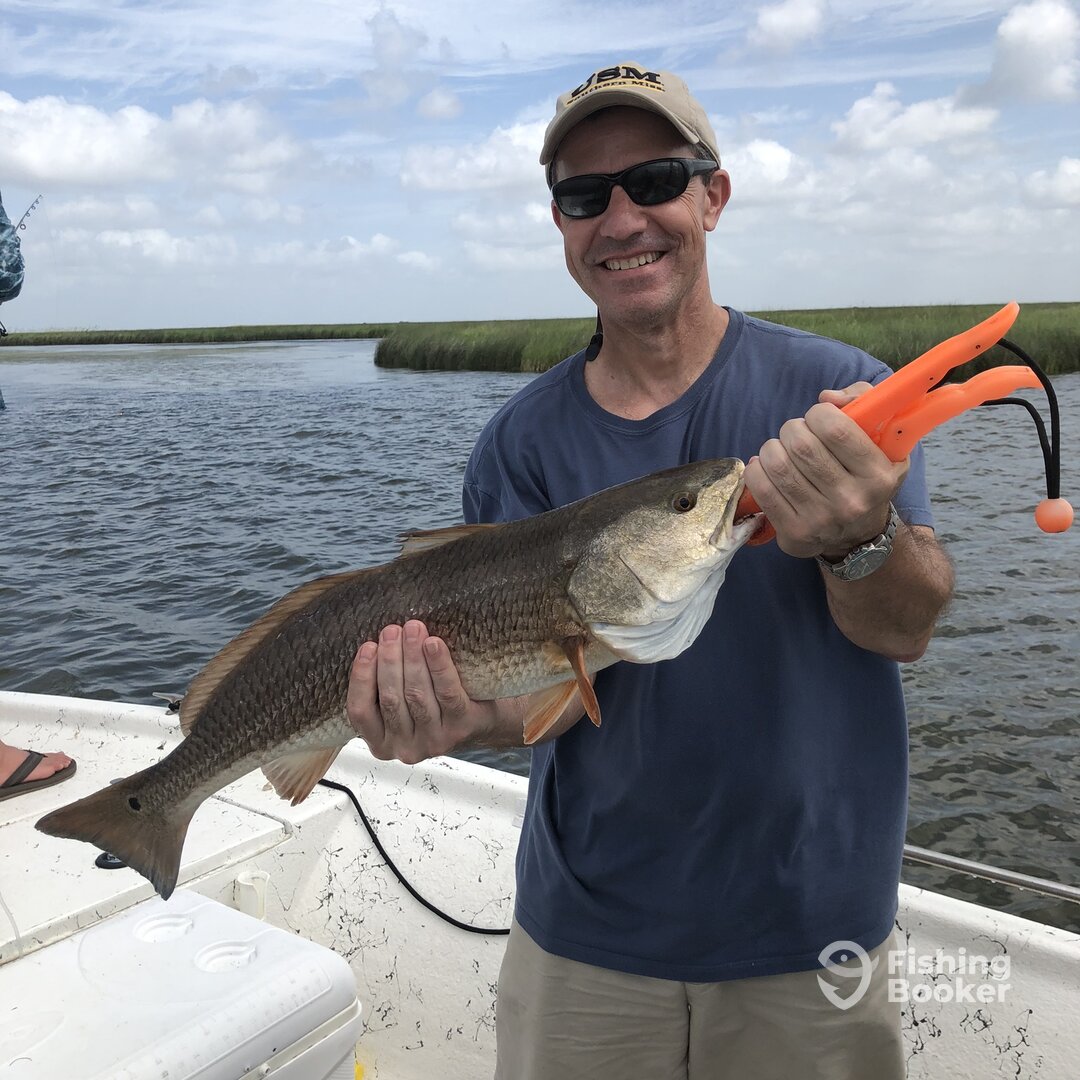 St. Bernard Report Photo 0