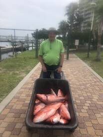 Orange Beach Report Photo 1