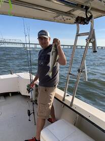 Bellevue Report Photo 2