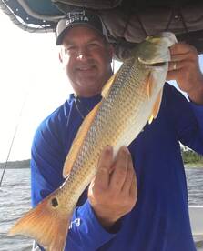 Fairhope Report Photo 1