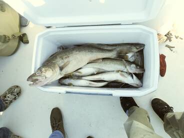 3 man limit in under 2 hours