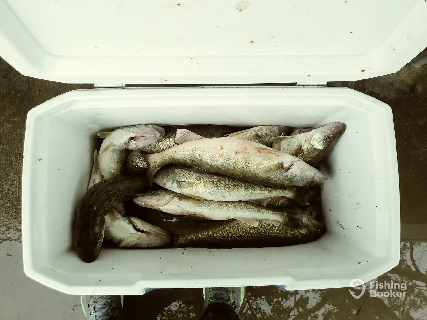 Cleveland Report Photo 0