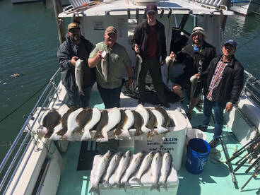 San Francisco Report Photo 2