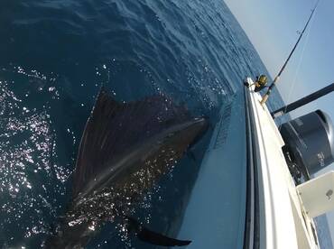 Jensen Beach Report Photo 1