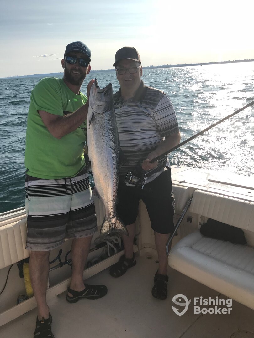 Toronto Report Photo 0