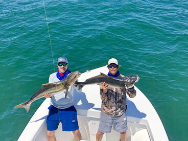 Norfolk Report Photo 2