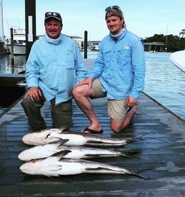 Father-son duo and cobia up to 45 pounds