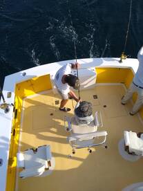 Wanchese Report Photo 1