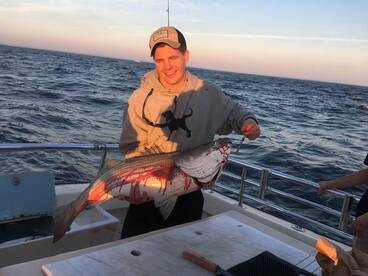 Montauk Report Photo 2