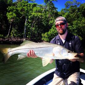 Naples Report Photo 1