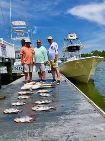 Spadefish and Cobia!