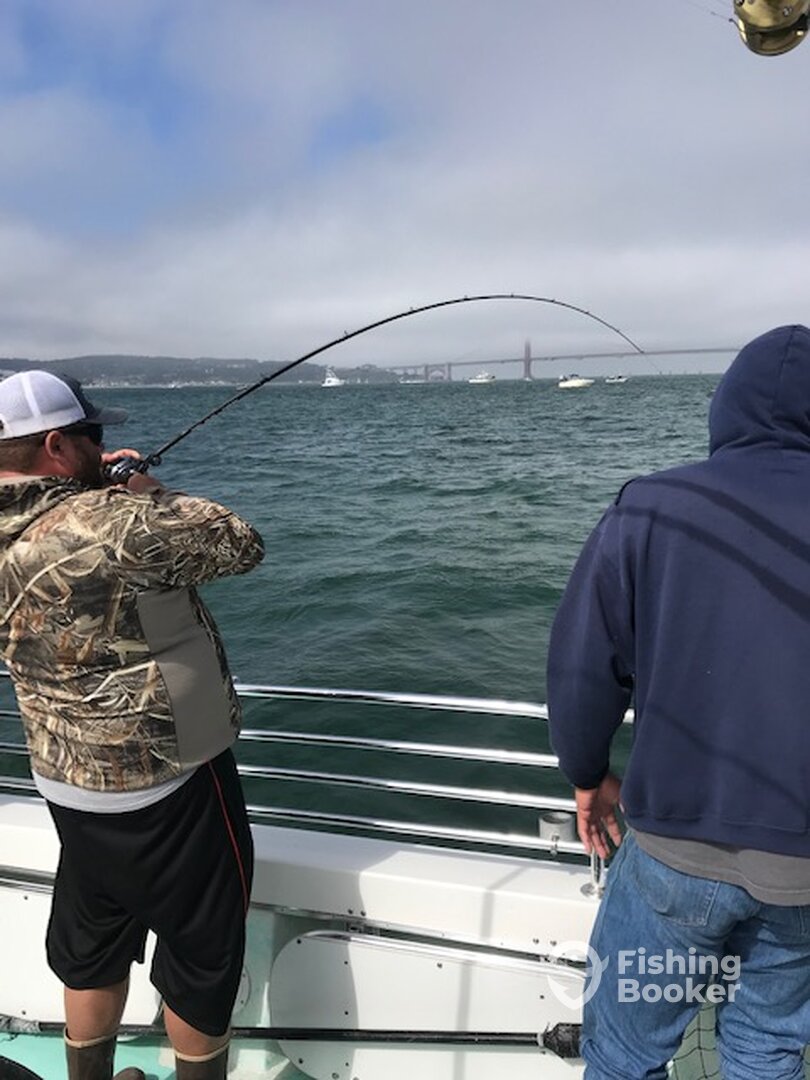 San Francisco Report Photo 0