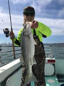 San Francisco Report Photo 2