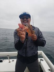 San Diego Report Photo 1