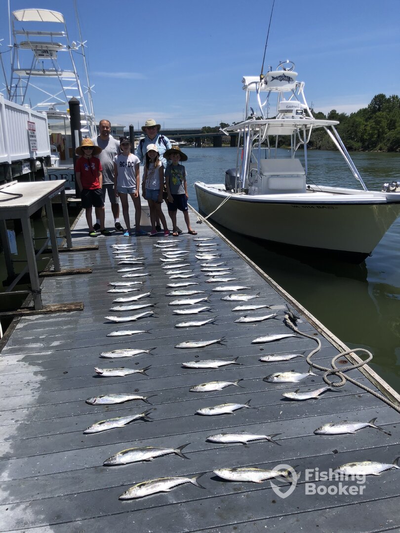 Virginia Beach Report Photo 0