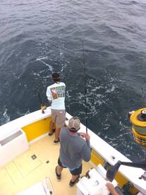 Wanchese Report Photo 2