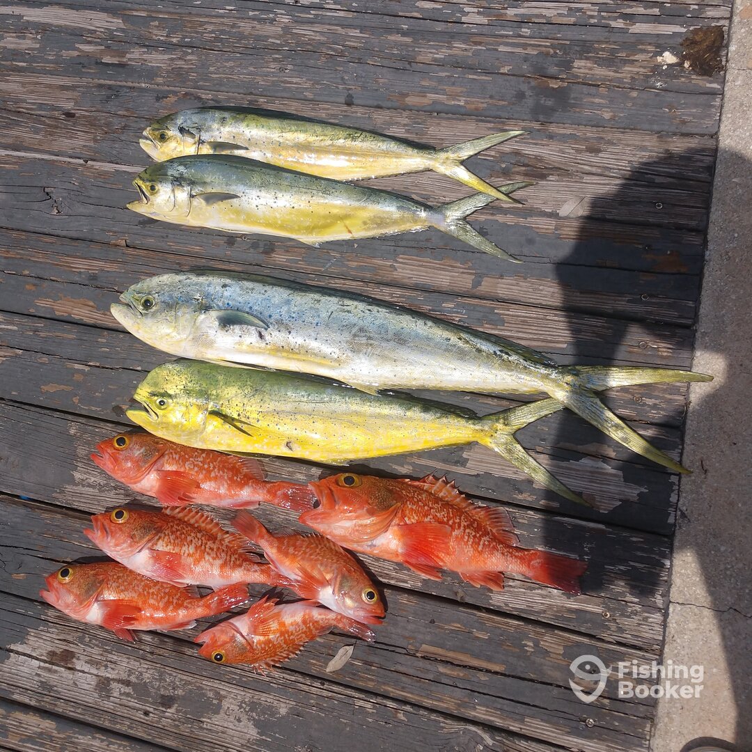 Fort Lauderdale Report Photo 0