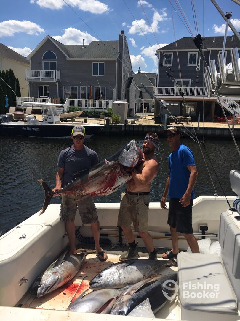 Point Pleasant Beach Report Photo 0