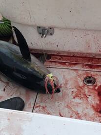 Point Pleasant Beach Report Photo 2