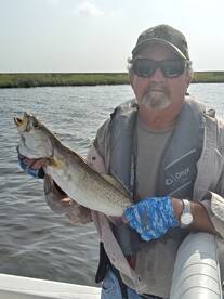 St. Bernard Report Photo 2