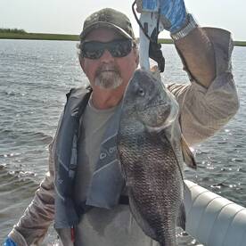 St. Bernard Report Photo 1