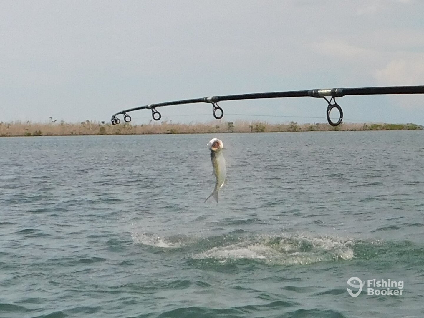 Big Pine Key Report Photo 0