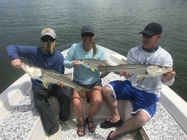 Marco Island Report Photo 2