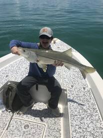 Marco Island Report Photo 1