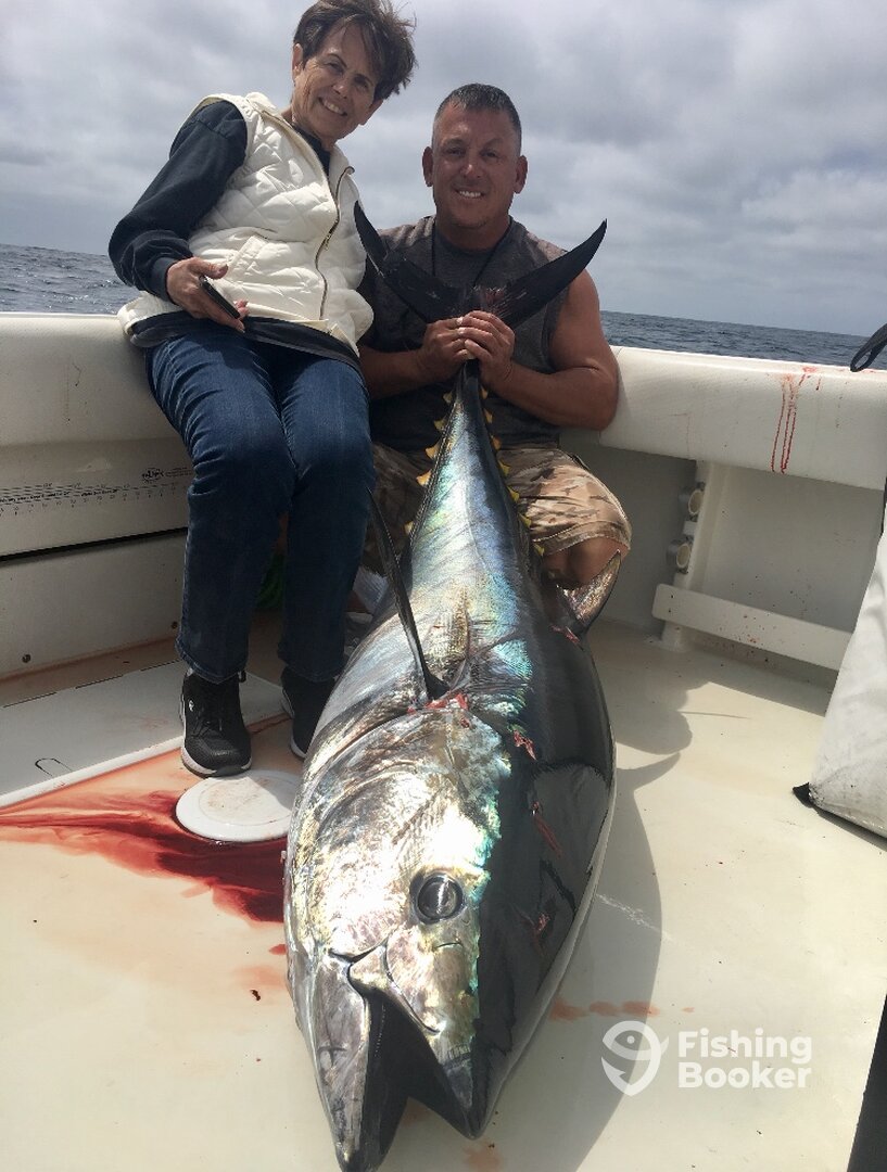 Dana Point Report Photo 0