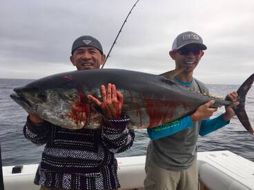 Dana Point Report Photo 2